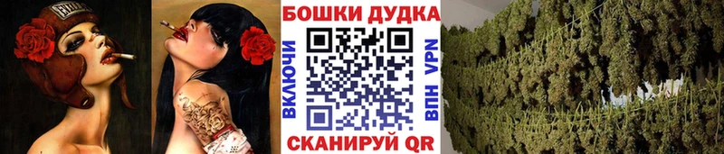 Бошки марихуана THC 21%  где найти наркотики  Нолинск 